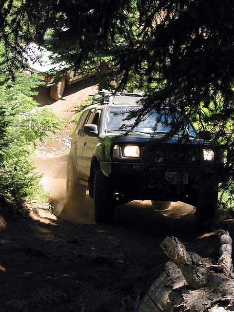 dirtthroughtrees.jpg